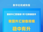 我国外汇储备规模上半年保持稳中有升
