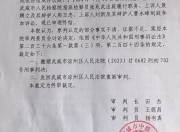 玩具店主售卖水弹枪一审被判非法买卖枪支罪，二审发回重审