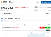 比特币冲破117000美元续创历史新高！机构预测下半年还会涨