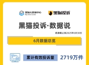 黑猫投诉6月数据说：召回风波导致充电宝投诉飙升 罗马仕占比近六成